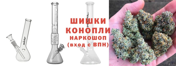 PSILOCYBIN Алексин