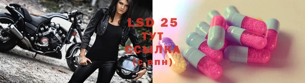 PSILOCYBIN Алексин