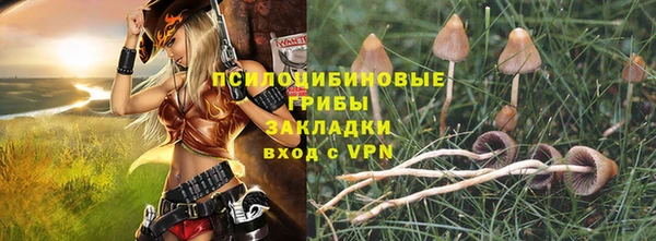 стафф Алексеевка