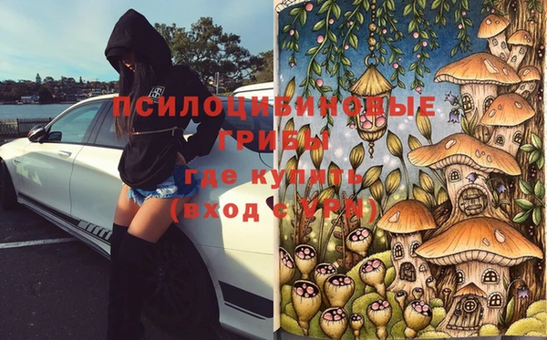 стафф Алексеевка