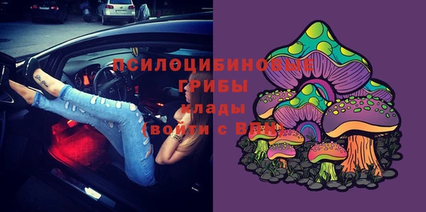 PSILOCYBIN Алексин