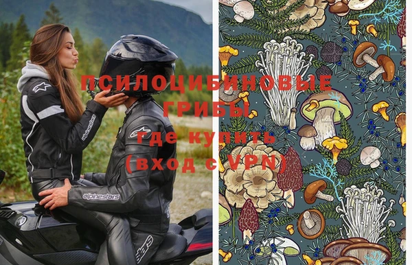 круглые Алзамай