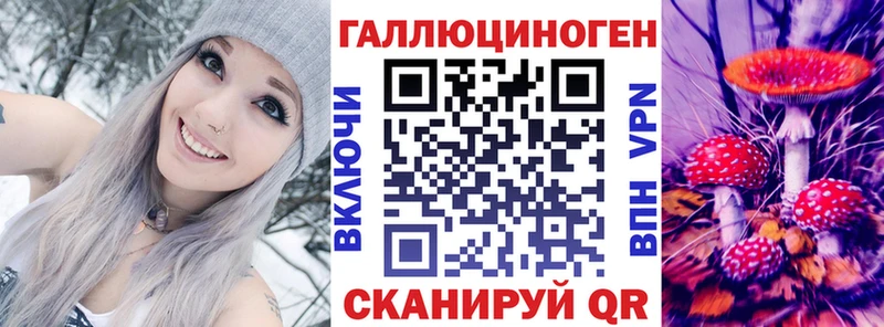 Галлюциногенные грибы Psilocybe  Купить закладки  Чусовой 